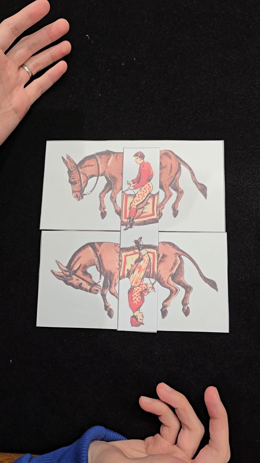 Horse Trick Puzzle