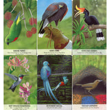 Bird Messages Cards