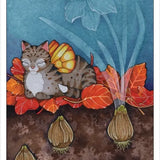 Affirmations of the Fairy Cats Cards and Book Set