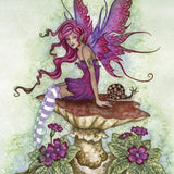 Fairy Wisdom Oracle Cards and Book Set