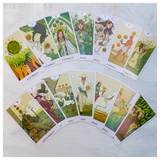 White Numen: A Sacred Animal Tarot Cards