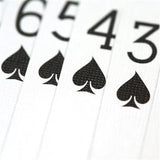 Bicycle Skull Playing Cards