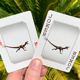 Bicycle Dinosaur Playing Cards