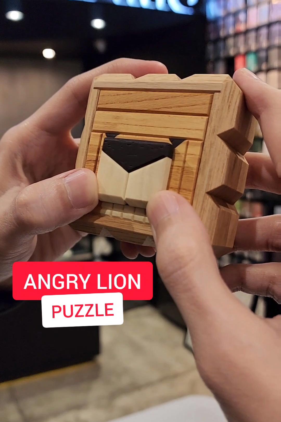Angry Lion Puzzle Box 🦁