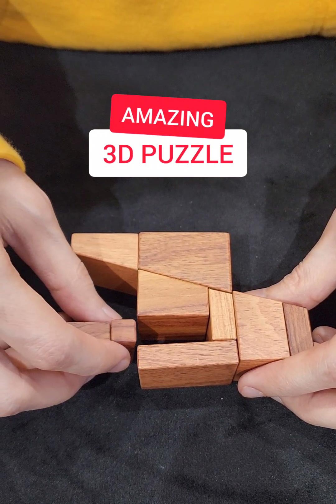 The Amazing 3D Puzzle