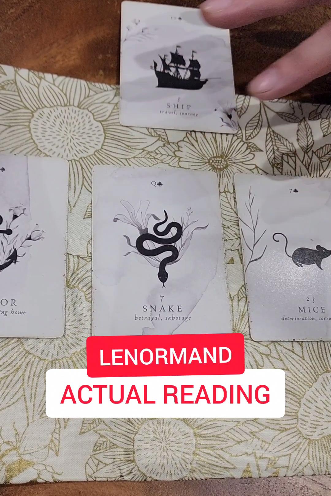 Reading using a deck of Lenormand!