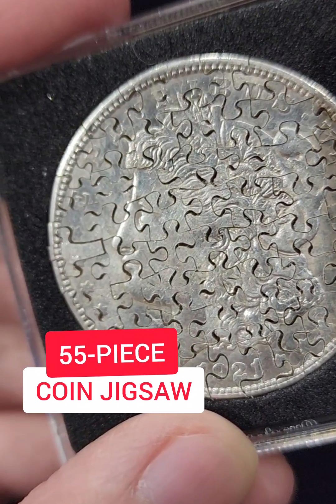 The Most Intricate Jigsaw Puzzle!