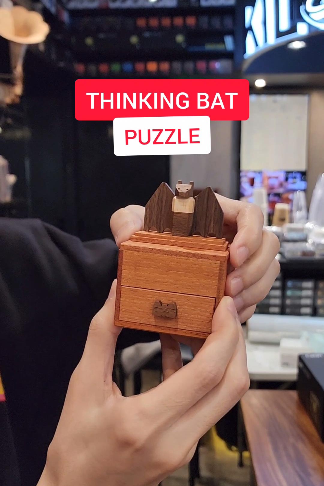 Solving the Thinking Bat Secret Box