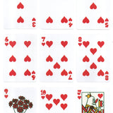 Bicycle Koichi Yairi Playing Cards