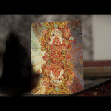 Shanhai II Artist Collector's Box