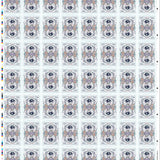 Bicycle Cycle of Venus Uncut Sheet