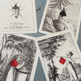 Cotta's Almanac #1 Transformation Gilded Playing Cards