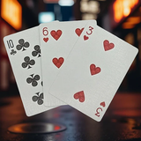 [IMPERFECT] Biker Cats Playing Cards