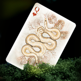Moooi Memento Moooi Playing Cards