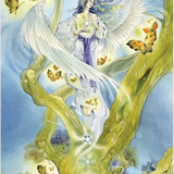 Tree Keepers Oracle Cards