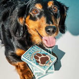 Bicycle Playful Dogs Playing Cards