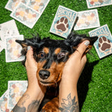 Bicycle Playful Dogs Playing Cards