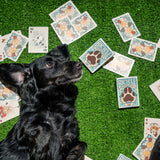 Bicycle Playful Dogs Playing Cards