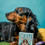 Bicycle Playful Dogs Playing Cards