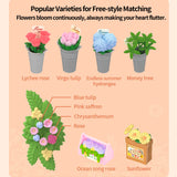 Super Creator Fresh Flower Shop DIY Miniature House