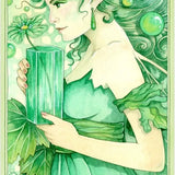 Fairy Gems Oracle Cards and Book Set