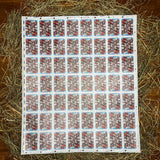 Bicycle Chkns & Crowns Uncut Sheet