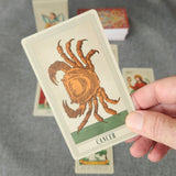 Minchiate Tarot Cards