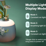 Starry Camellia Lamp DIY Mechanical Puzzle