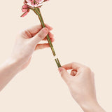 Wooden Blooming Book DIY Puzzle Kit