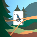 Smokey Bear Brown Playing Cards