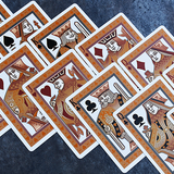 Bicycle Aurora Playing Cards