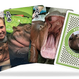 Bicycle Fiona Playing Cards