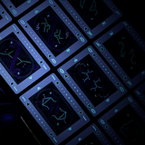 Constellation Majestic Playing Card