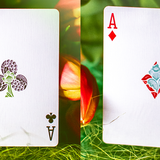 Butterfly Seasons Spring (Marked) Playing Cards