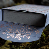 Fillide v2 Aria Playing Cards