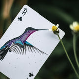 Hummingbird Feathers Purple Playing Cards