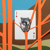 Smokey Bear Brown Playing Cards